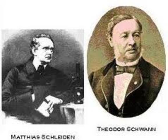 Matias Schleiden y Theodore Schwan establecieron la teoría celular