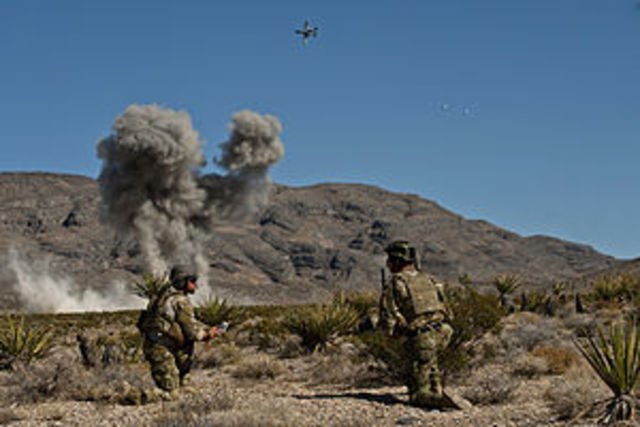 Joint Terminal Attack Controller (JTAC)