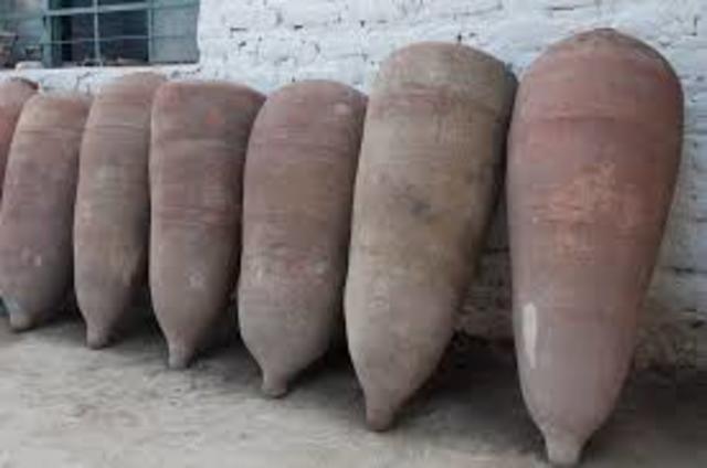 Chile: apareció el "pisco"