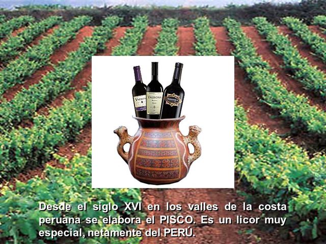 Se empezó a producir Pisco