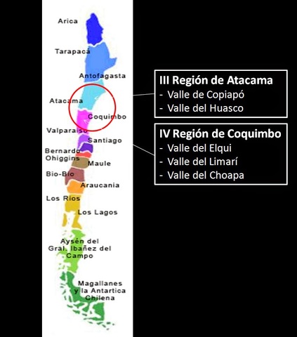 origen  según  chile