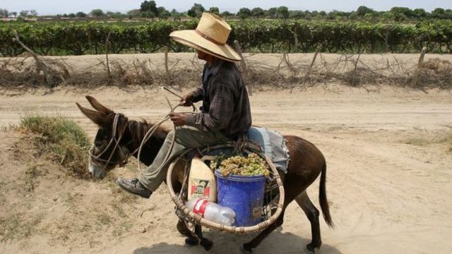 RIVAL Y MEJOR CLIENTE