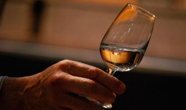 Origen del pisco chileno