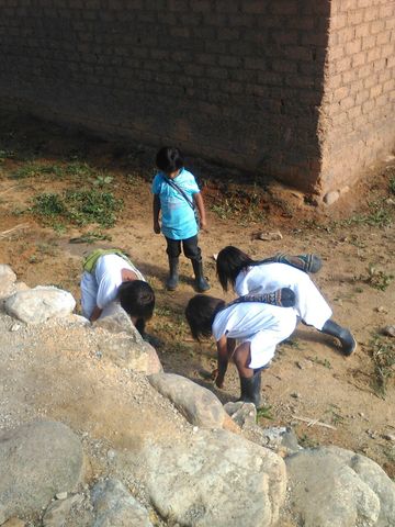 Identificar la problemática