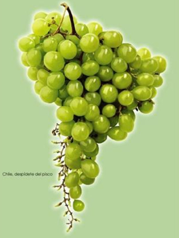 ORIGEN DEL CONFLICTO