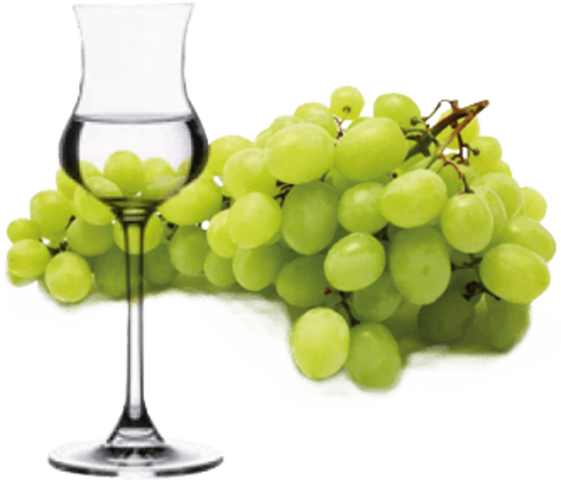 INDECOPI SE PRONUNCIA