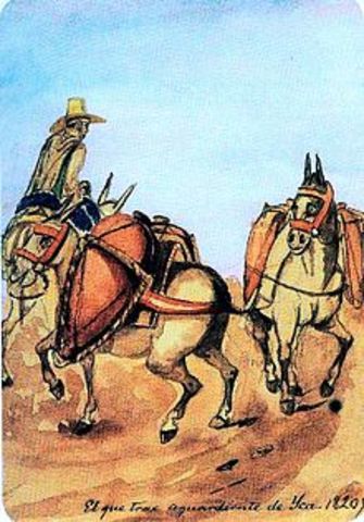 Aguardiente de Pisco Peruano