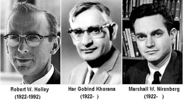 Robert Holley, Har Gobind Khorana y Marshal Niremberg