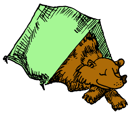 Fui al campamento de verano