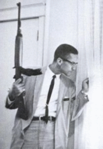 Malcolm X Assassination
