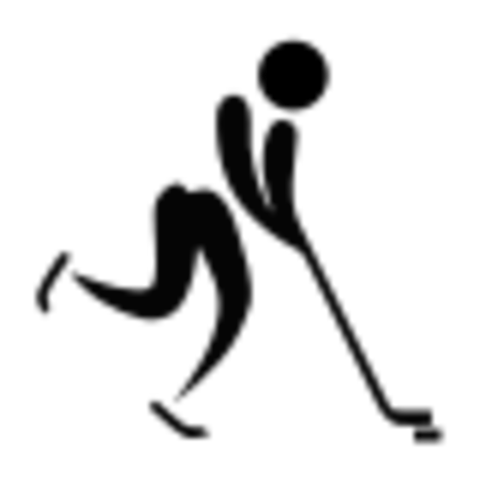 1980 Winter Olympics