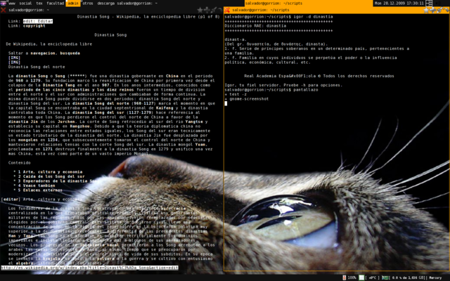 Debian GNU/Linux (Lenny c/Awesome)