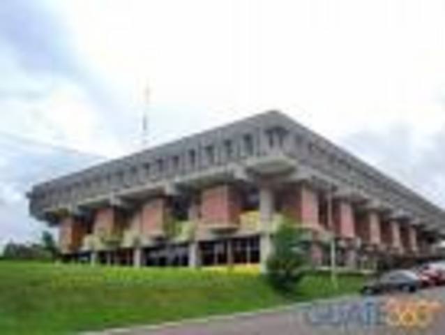 Estudios Universidad