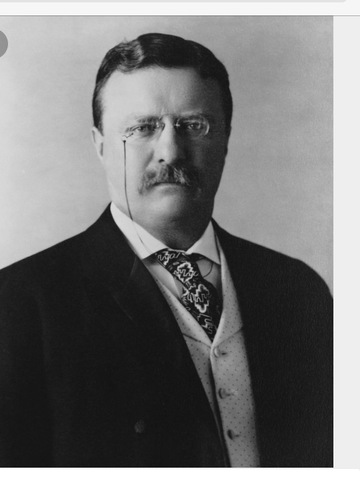 Theodore Rosevelt presidency