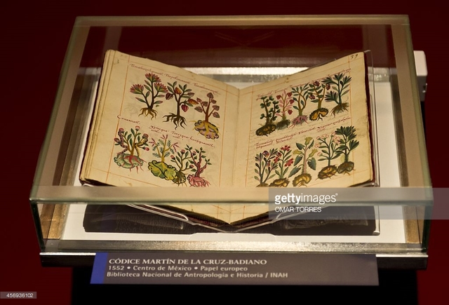 El Códice Barberini y el origen de la Historia Natural