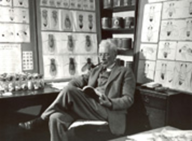 Alfred Sturtevant crea el primer mapa genético de un cromosoma