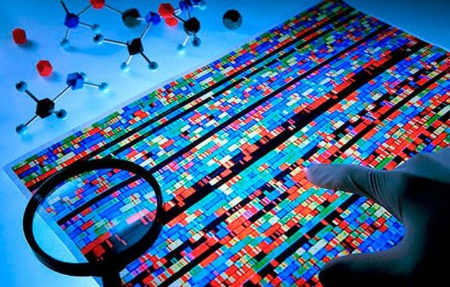 Los mapas genéticos demuestran la disposición lineal de los genes en los cromosomas