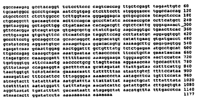 Se denomina mutación a cualquier cambio en la secuencia nucleotídica de un gen, sea esta evidente o no en el fenotipo