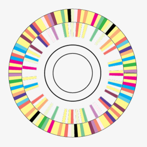 El genoma d'Haemophilus