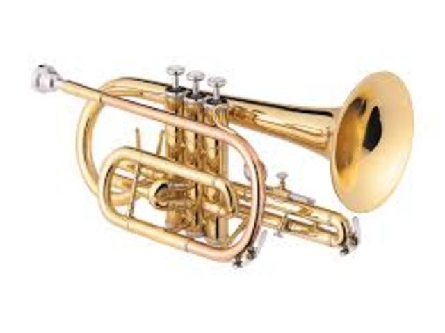 Cornet