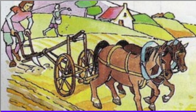 Etapa de Inspección