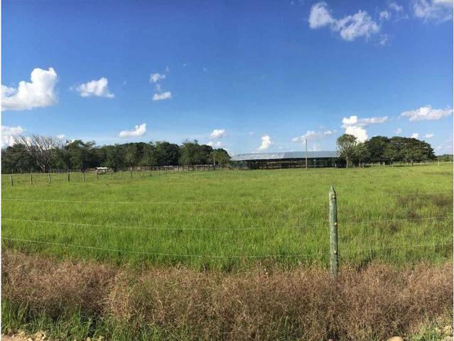 POSIBLE COMPRA DE LA FINCA