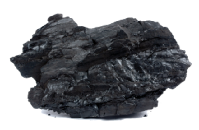 Descubierto en la prehistoria