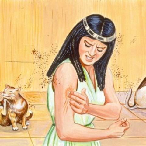 La plaga de tábanos.