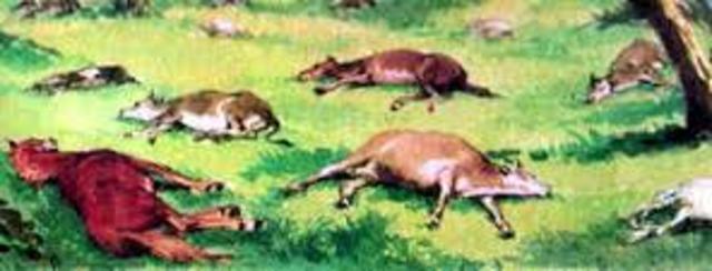 La muerte del ganado.