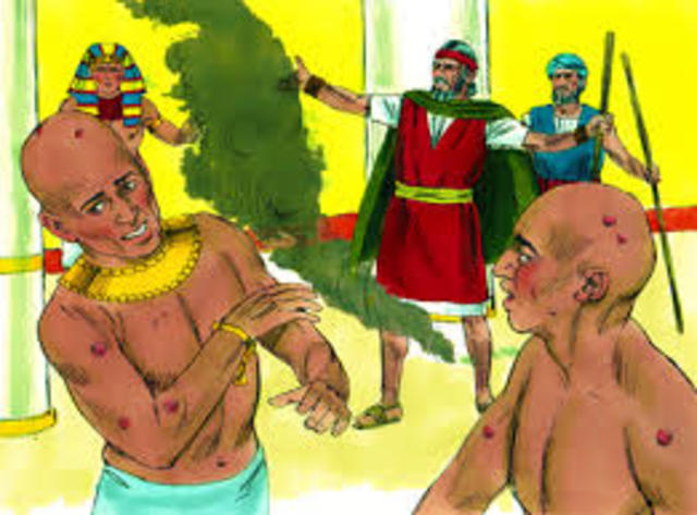 La plaga de las llagas.