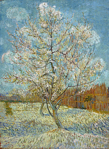 ​Title:  Peach Trees In Blossom