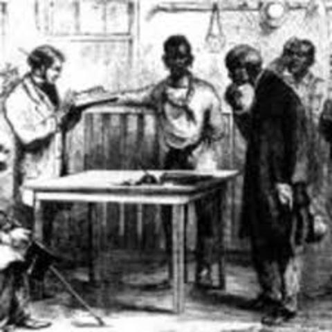 Alexandria Rejects Negro Vote