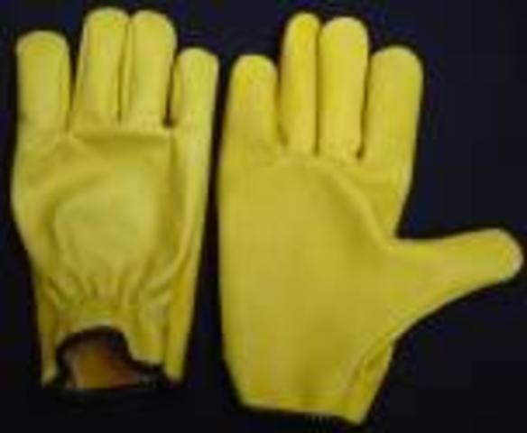 Visita empresarial -Guantes tayrona S.A.S