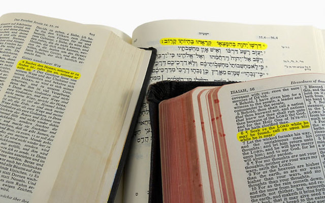 Bible Translation