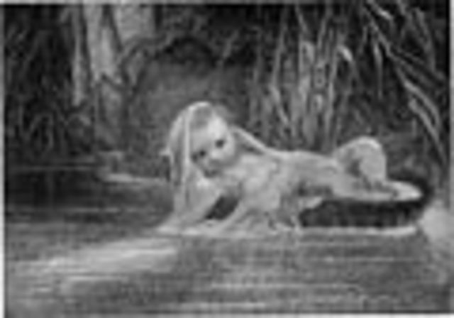 nacimiento de Moisés