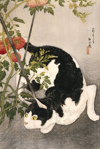 Cat Prowling Around a Staked Tomato Plant, Takahashi Hiroaki (Shotei). Located in The Museum of Fine Arts.