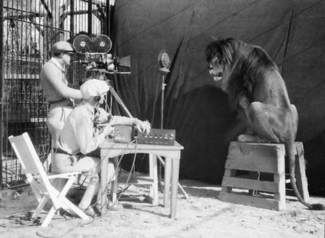 Filming the MGM Lion
