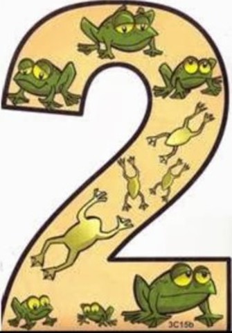 Segundo castigo: Las ranas llegan