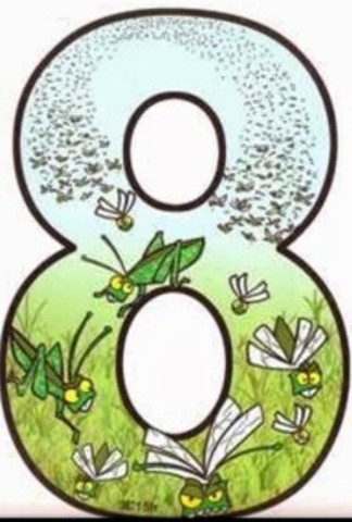 Octavo Castigo:Las langostas: