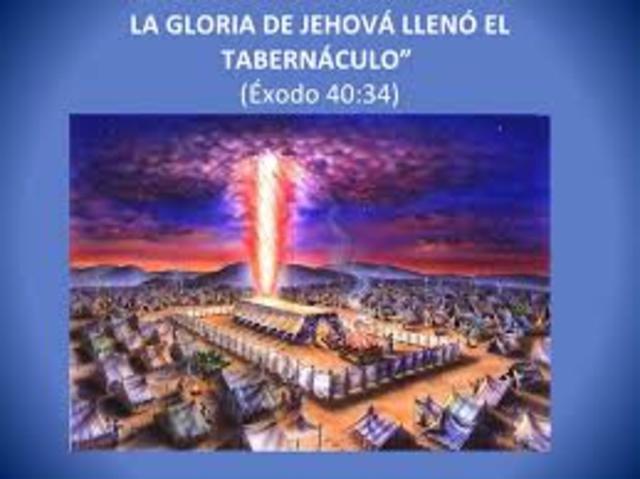 se hacen telas de armas y armazones