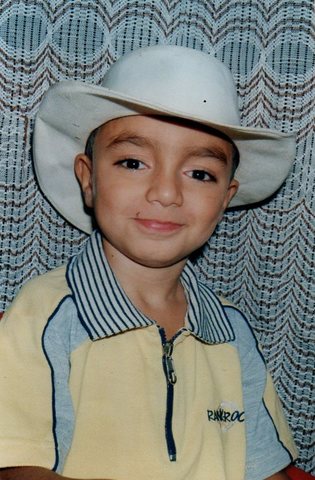 proceso de asimilación