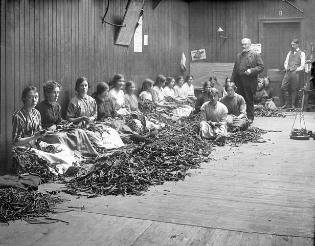 La gran depresión económica.