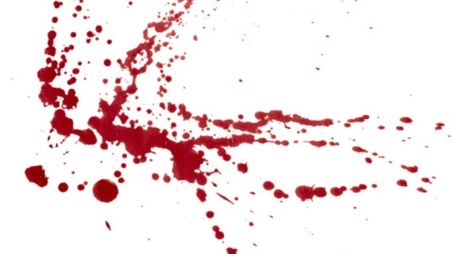 Blood and Iron  Speech