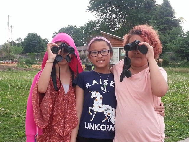 Citizen-based monitoring network forms