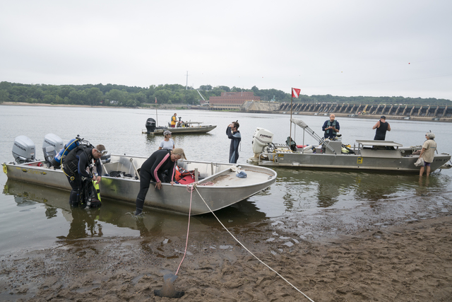 Endangered mussels ferried by fish and planted by hand