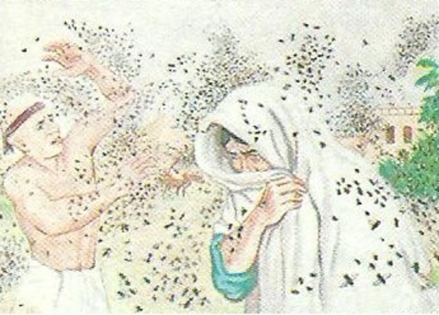 Tercera plaga: los mosquitos