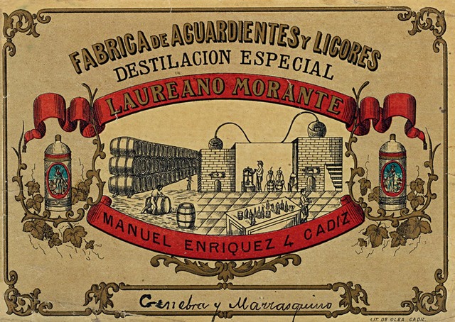 Edad Contemporánea (desde 1789)