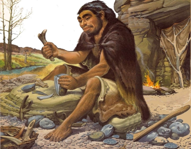 Homo sapiens neanderthalensis