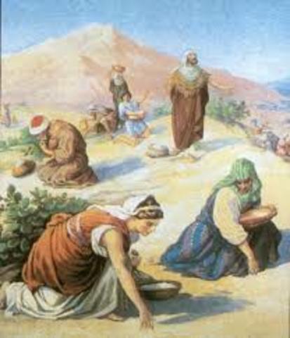 Primeros campamentos en el desierto