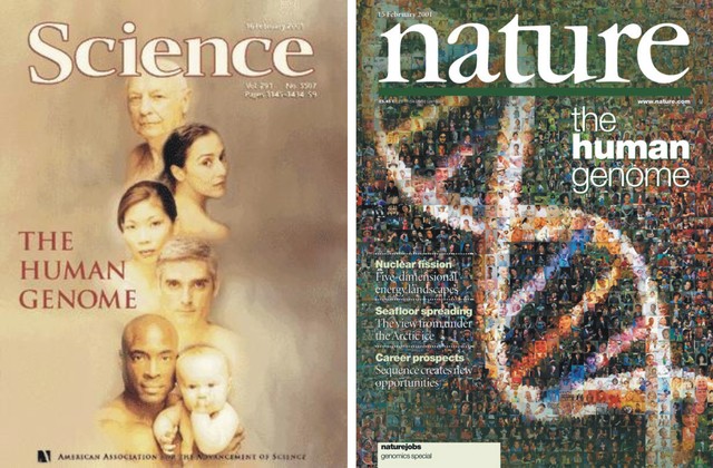 Borrador de la secuencia del genoma humano